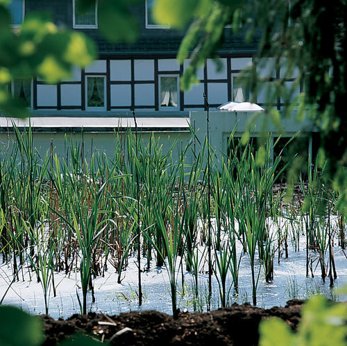 Moorland Hotel Am Senkelteich Vlotho Exterior photo